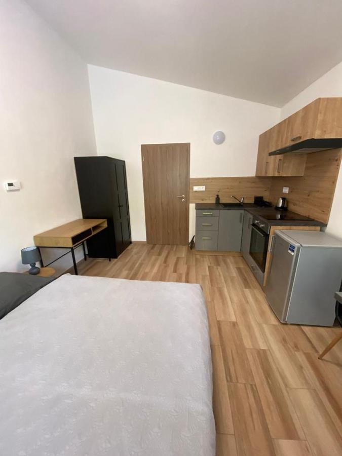 Cerna Ruze - Apartman 7 Pilsen Exterior foto